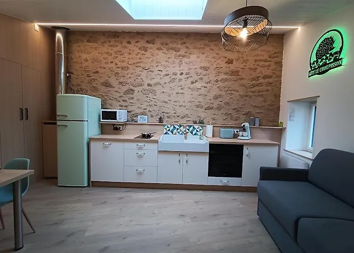 Le Choupisson Holiday home *